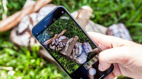 La qualité des photos et la mise en scène favorisent la valorisation de vos produits sur les réseaux sociaux. © Graines 2sens